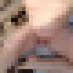 camerolli