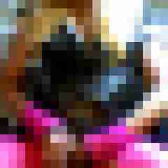 VickyDWT