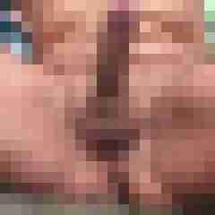 Feigeist_68