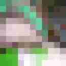 fussficker