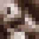 wolli12