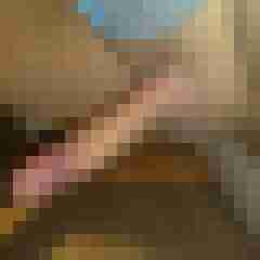patte83