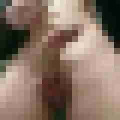 wweerr