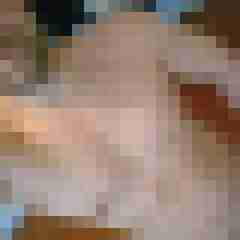 doncock81