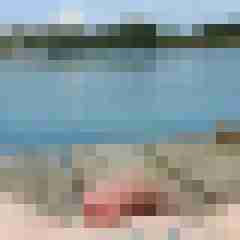 lustmolch79