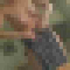 Timg