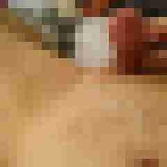 sleigon