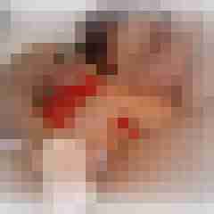 Toddel