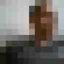 celly81