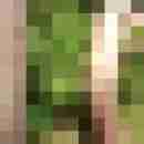 8 Bilder von mrmurphy66