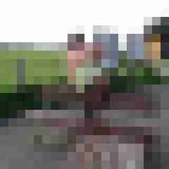 Tina_Tom