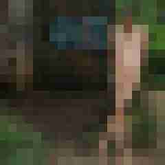 seemann0706