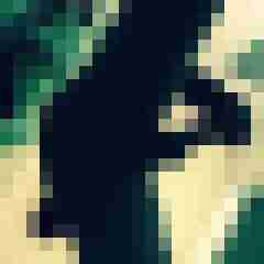 cant_stop