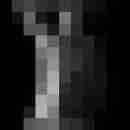 mark254