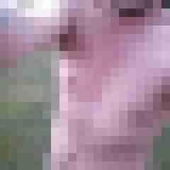 jigglejoe123