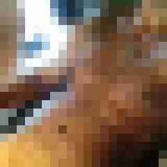 xlbob29