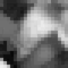 amateurFotograf