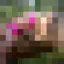 chris_iris