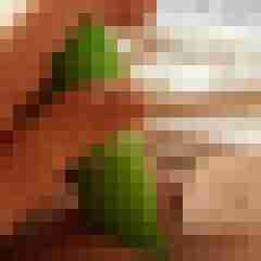 Faustfick73