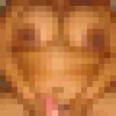 robertbilive