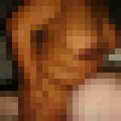 robertbilive