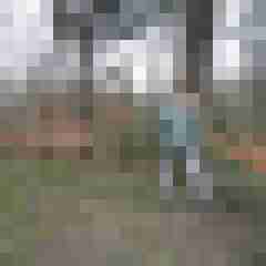 Bare__Glatze