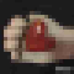 Tom_LM