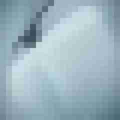 Tom_LM