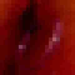 Tom_LM