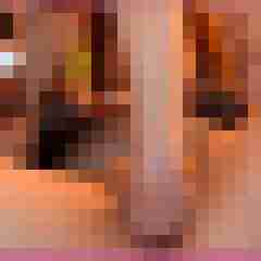 Toddel