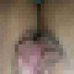 nimmersatt_1001