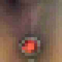 Tom_LM