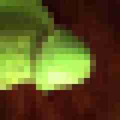 Tom_LM