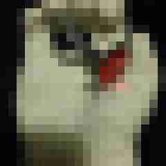 Tom_LM