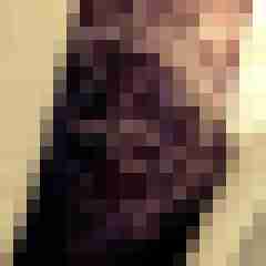 Tom_LM
