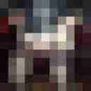 lack_leder_latex