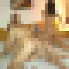 Real_AO_Paar