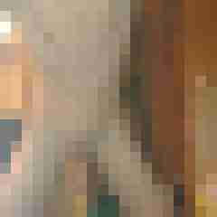 NiceP36