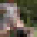 rolf_gruen