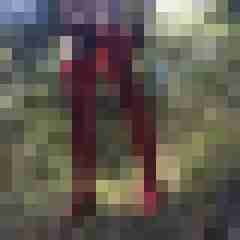 schokin1