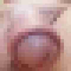 Pipilecker