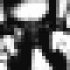 Tom_LM