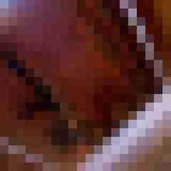 sunluncher82