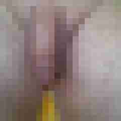 Vogel6