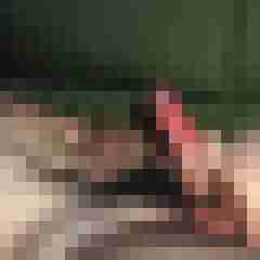 MisterSpock1