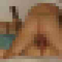 Haumphrey