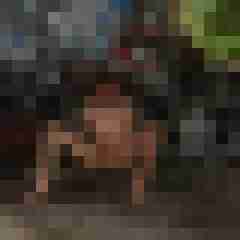 seemann0706