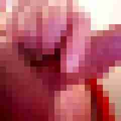 rebellbln