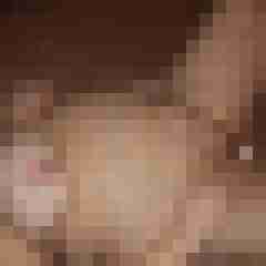 Baecker07
