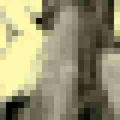 Tom_LM